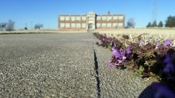 Stop to smell the flowers